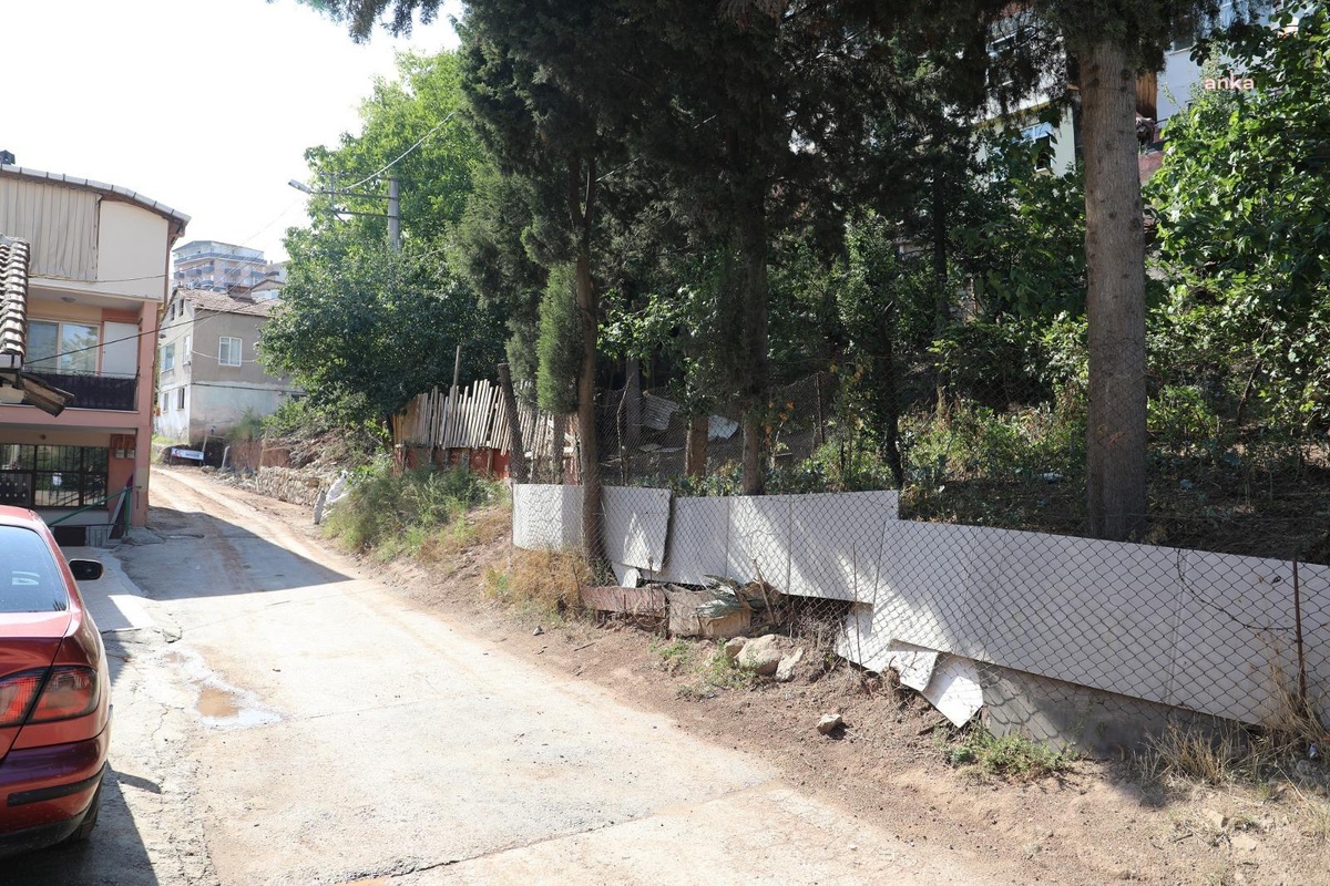 İzmit Belediyesi, Yol Çalışması Yaptığı Hazar Sokak\'taki 11 Ağacı Taşıyacak