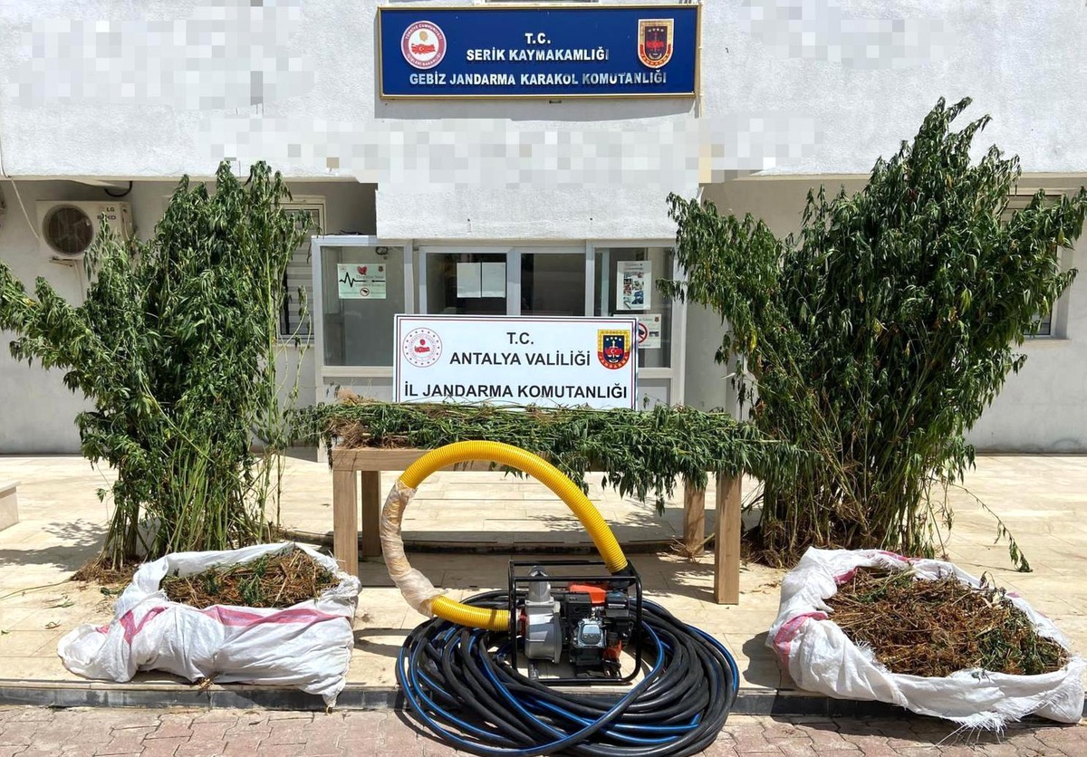 Jandarma 16 kilogram esrar ele geçirdi