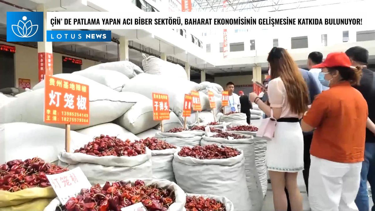 Video: Çin\'in Güneybatısında Patlama Yapan Acı Biber Sektörü, "Baharat Ekonomisinin" Gelişmesine Katkıda Bulunuyor