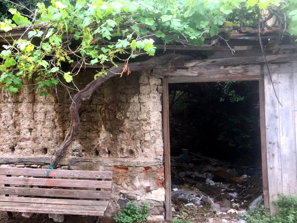 Bursa\'da kan donduran olay! Kız çocuklarını kaçırıp iki gün şiddet uyguladılar