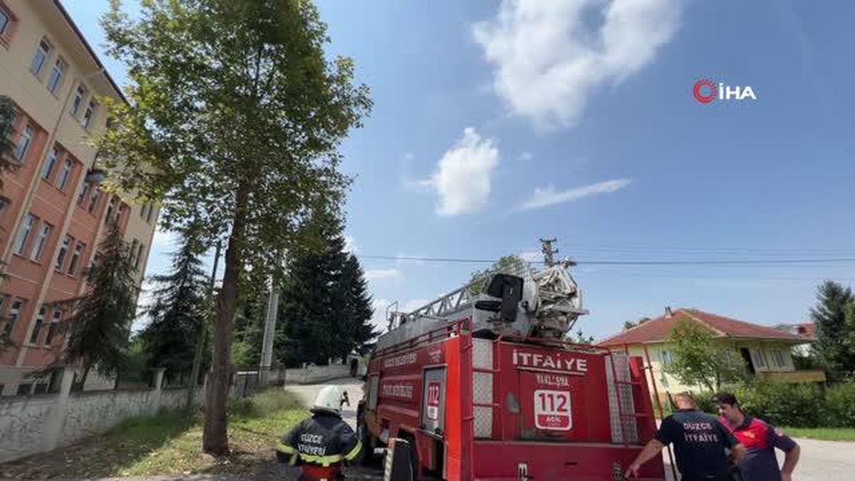 Ağaca çıkan kedi, ekipleri harekete geçirdi