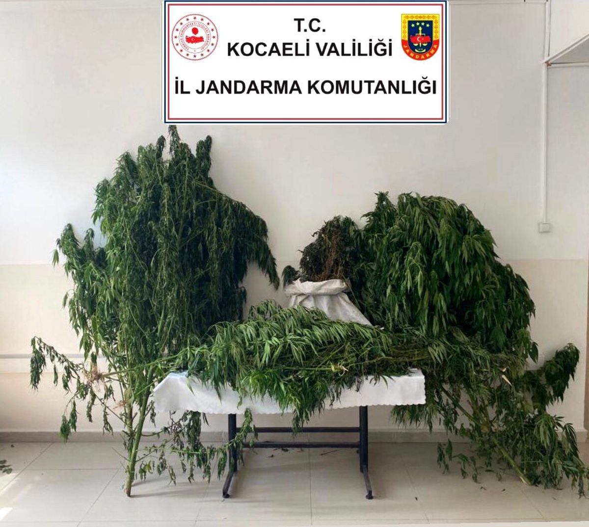 Kocaeli\'de 30 kilo esrar ele geçirildi