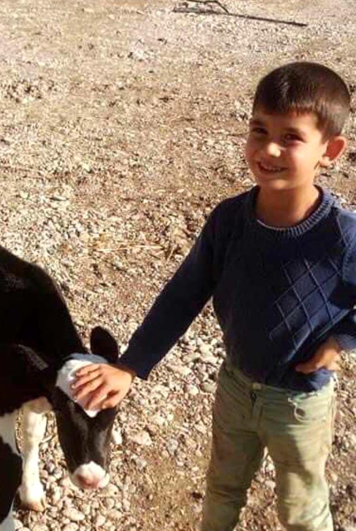 Köpeklerin saldırısında ağır yaralanan çocuk gözlerini açtı