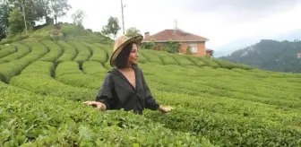 Rize'de 'çay turizmi' bereketi