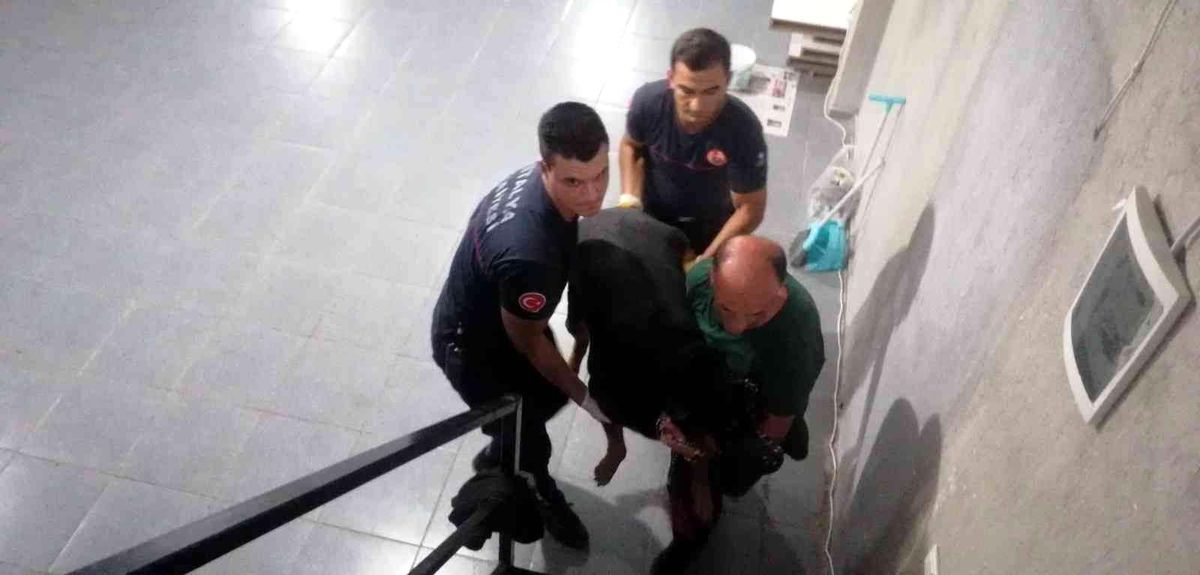 Antalya\'da itfaiyeden bodrumda yaşayan \'Şişman köpek\' operasyonu