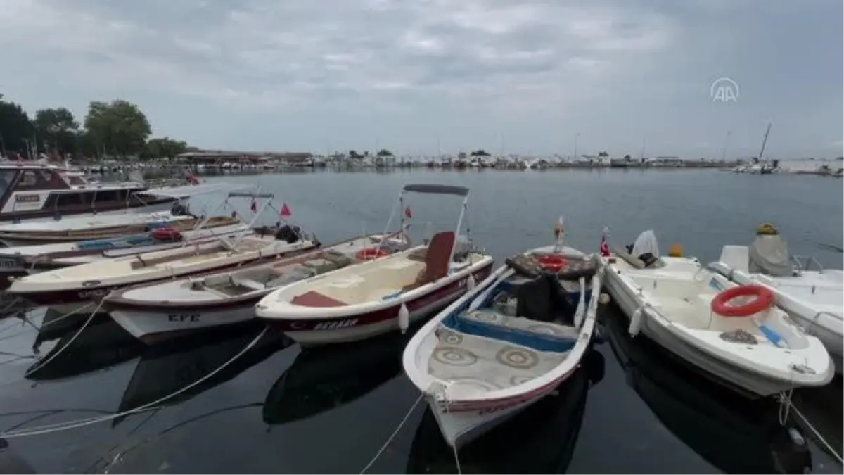 Çanakkale gündem haberi: ÇANAKKALE - Marmara\'da hamsi Karadeniz\'de palamut balıkçıları umutlandırdı