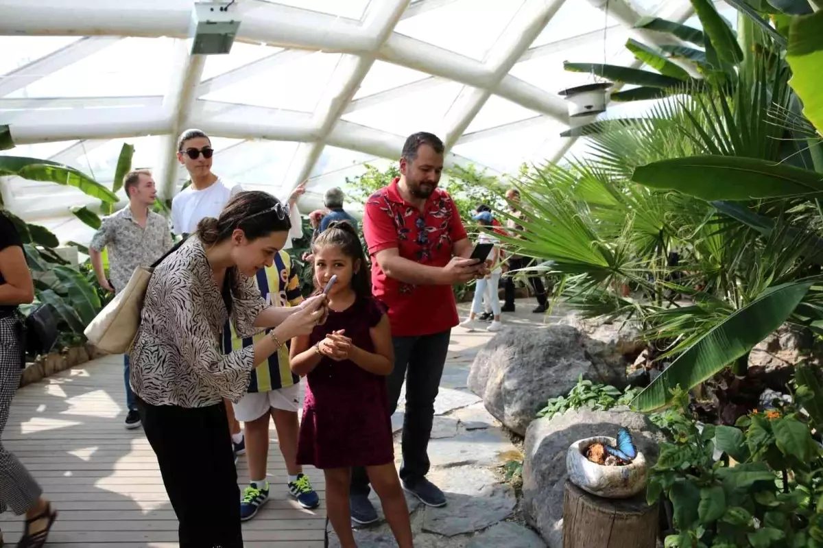 Konya Tropikal Kelebek Bahçesi yoğun ilgi görüyor