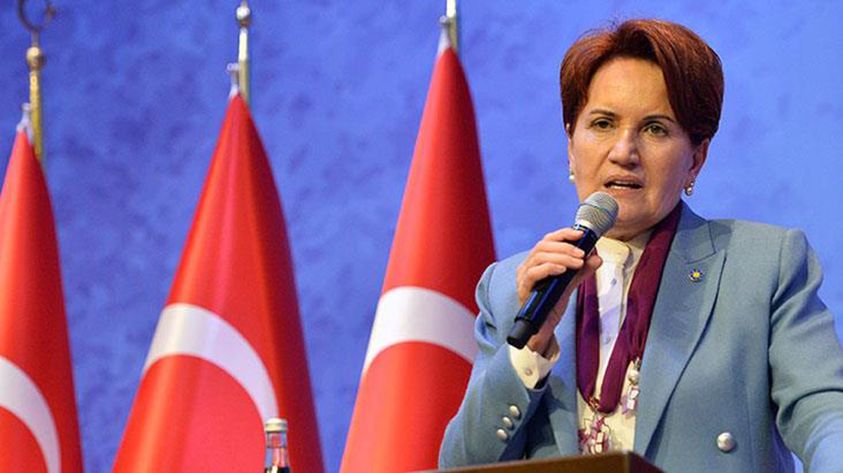 Meral Akşener kendisine yazan bir kişiye Instagram hesabı üzerinden yanıt verdi: Sizi yanıltmayacağım