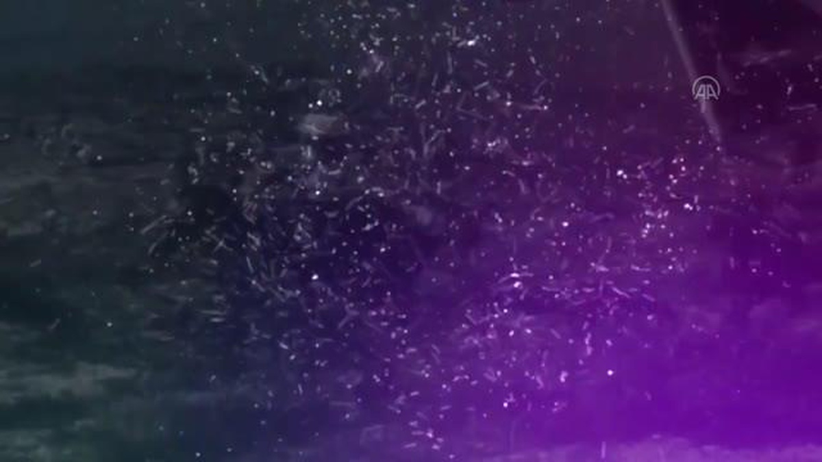 MSB, Büyük Taarruz\'un 100. yıl dönümü dolayısıyla video mesaj yayımladı