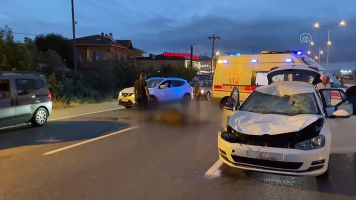 Samsun\'da otomobilin çarptığı gebe inek telef oldu