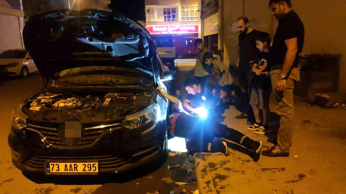 Şırnak\'ta ilginç kedi kurtarma operasyonu: Kedi sesi açılarak araç kaputundan çıkartmaya çalıştılar