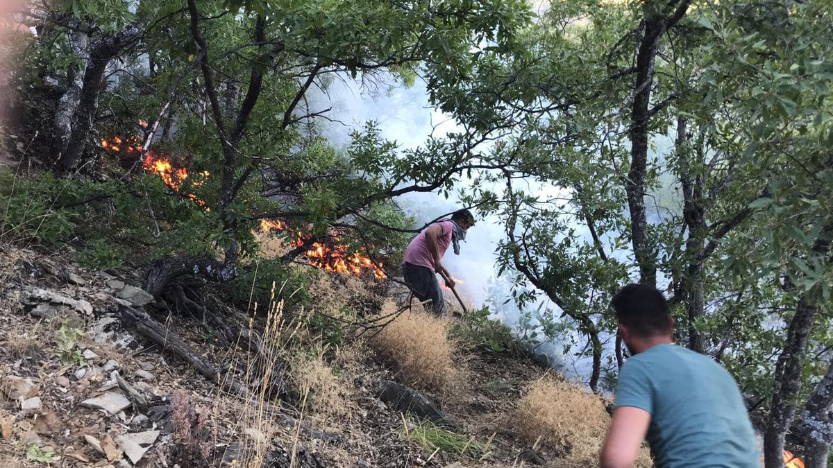 Tunceli\'de ormanlık alanda çıkan örtü yangını söndürüldü
