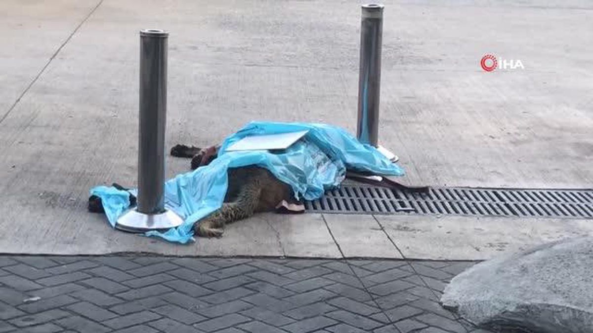 Böyle vicdansızlık görülmedi