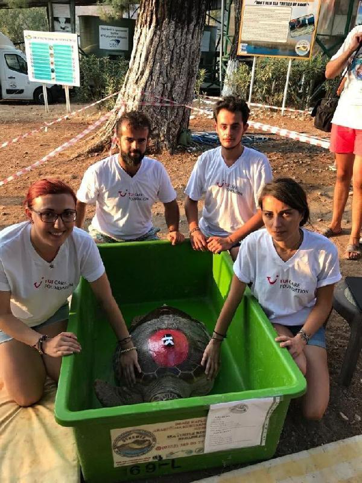 Caretta caretta \'Tuba\' 17 bin 500 kilometre katetti, 7 milyondan fazla izlendi