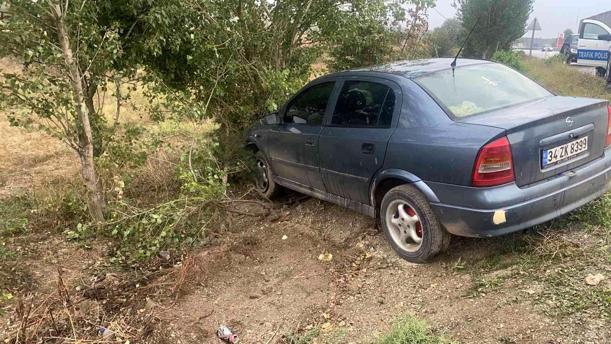 D100 karayolunda yoldan çıkan otomobil ağaca çarparak durdu