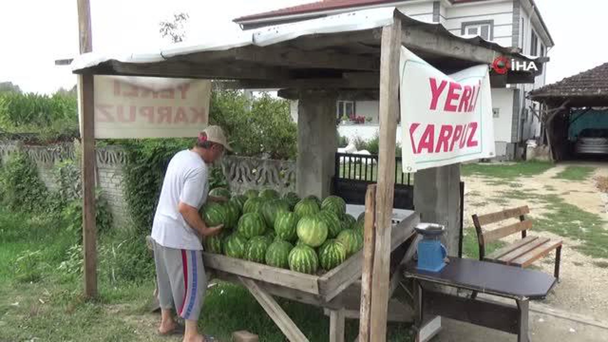Düzce karpuzu Adana\'ya rakip oldu