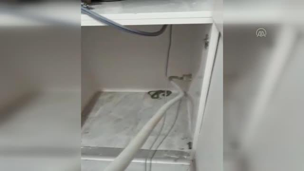 Karabük\'te evin dolabında yakalanan yılan doğaya bırakıldı
