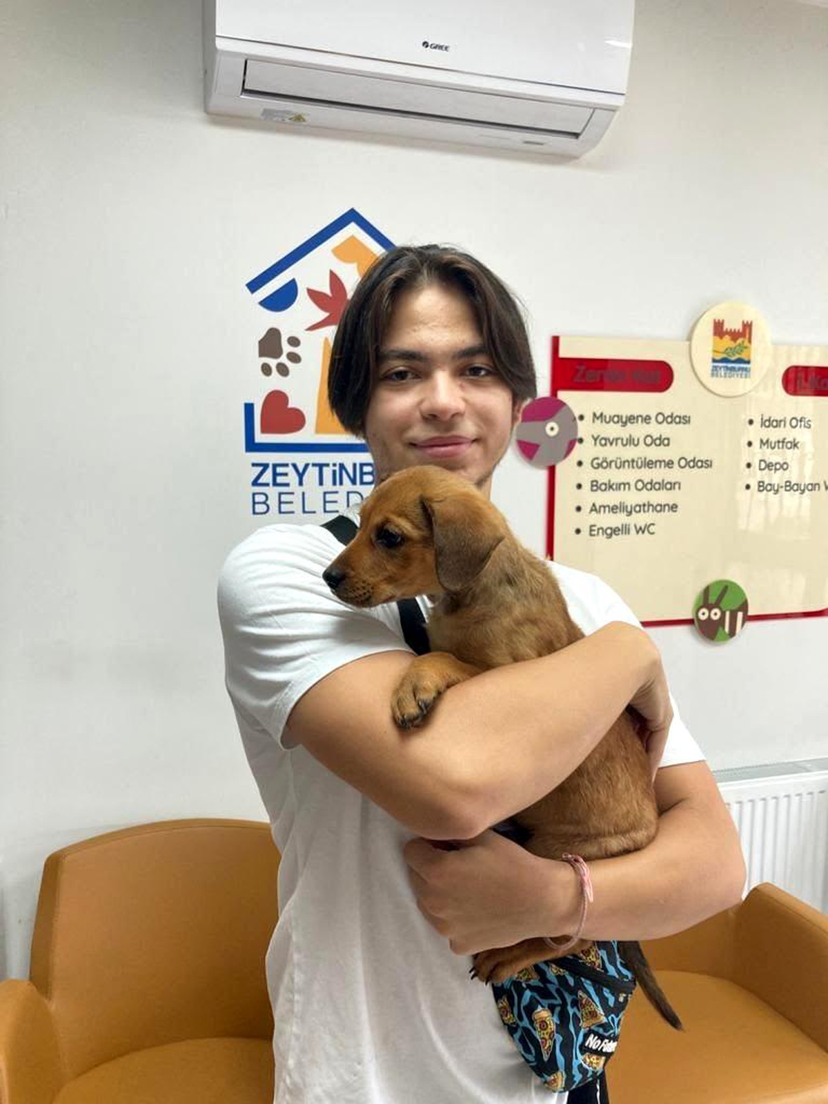 Mezarlığa bırakılan yavru köpek yeni yuvasında