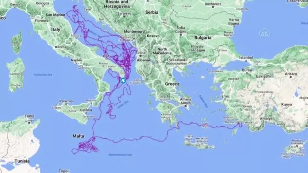 Uydu takibinde en uzun süre izlenen "Caretta Caretta Tuba" 17 bin 500 kilometre yol gitti