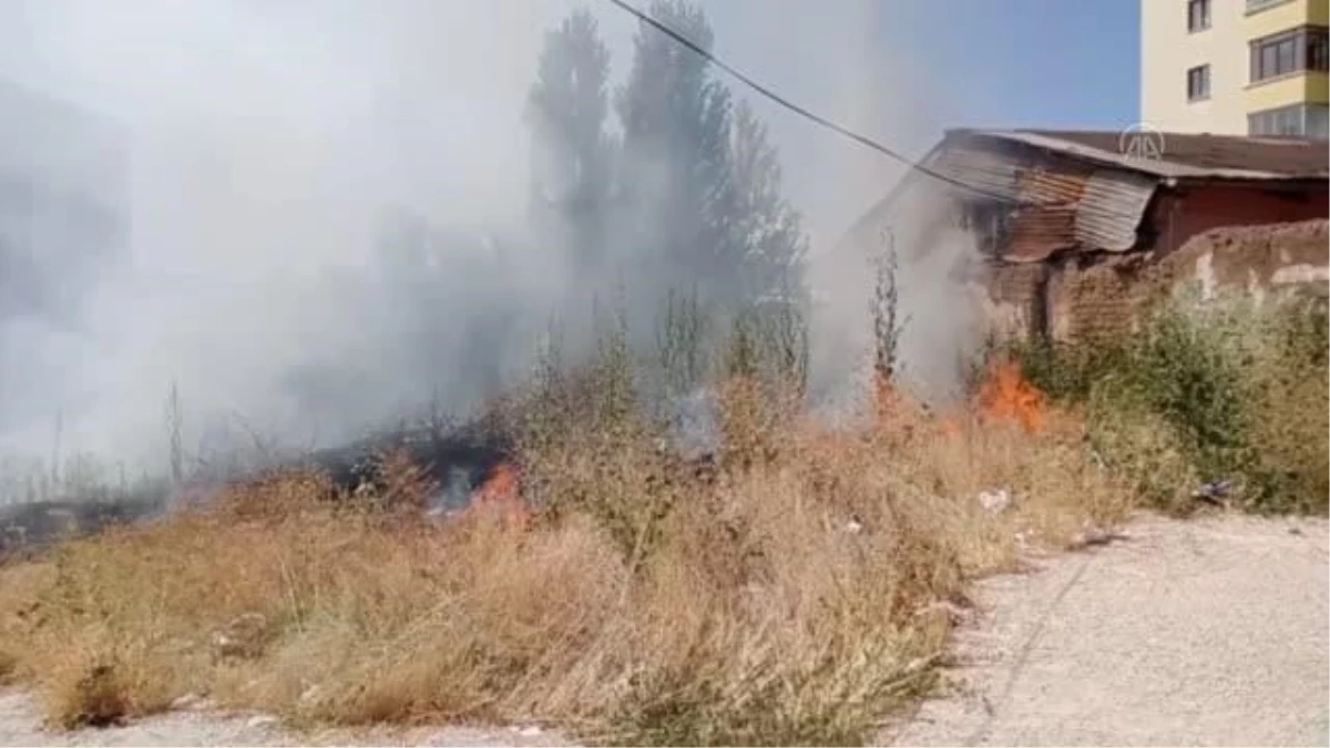 Sivas\'ta yanan otluk alandaki kirpiyi vatandaş kurtardı