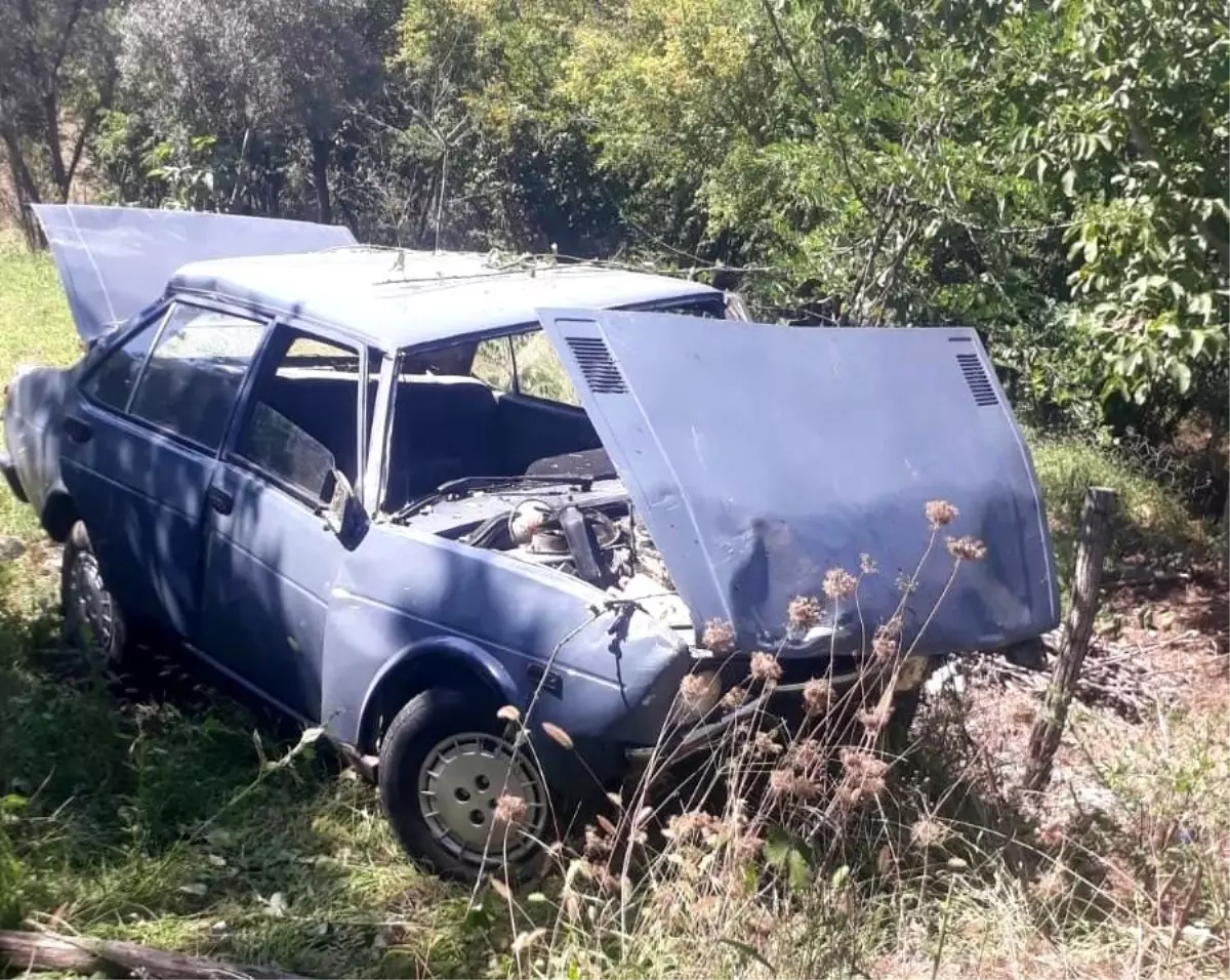 Ağaçlık alana uçan otomobilin sürücüsü yaralandı