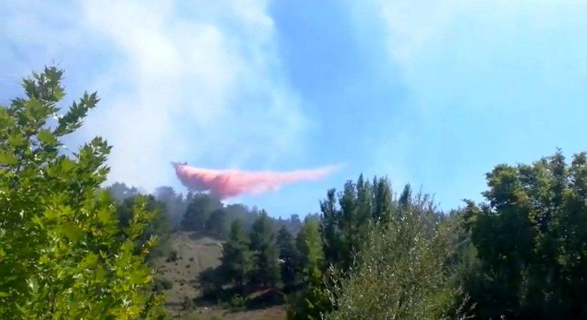 Antalya\'da çıkan orman yangını kısmen kontrol altına alındı