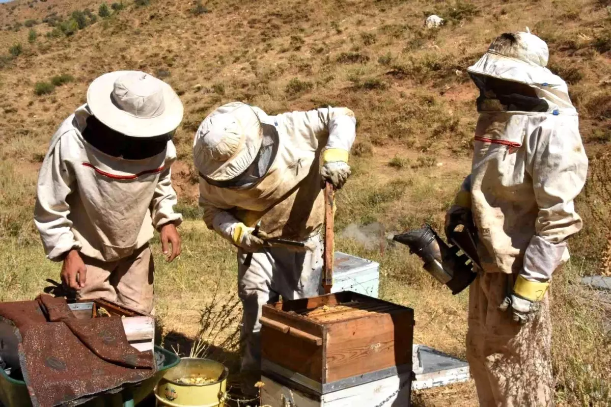 Bitlis balı Londra\'da \'Altın Bal\' yarışmasında birinci oldu