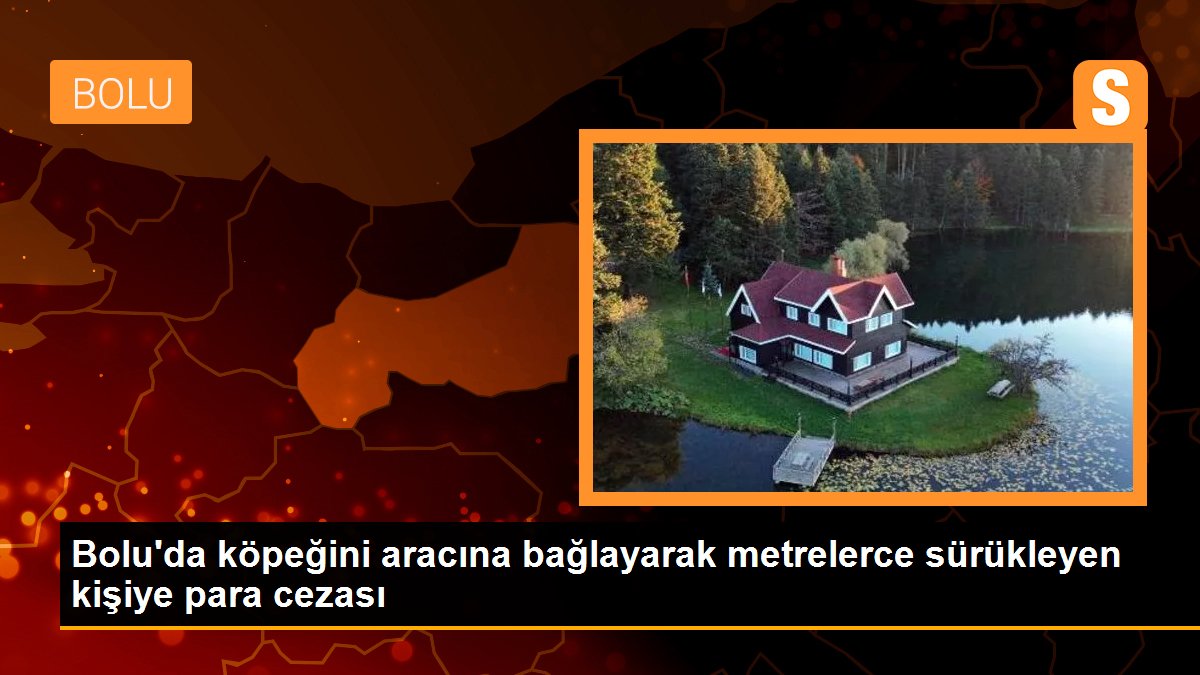 Bolu\'da köpeğini aracına bağlayarak metrelerce sürükleyen kişiye para cezası