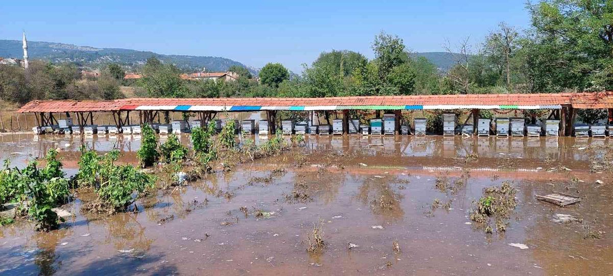 Domaniç\'te 80 arı kovanı sular altında kaldı