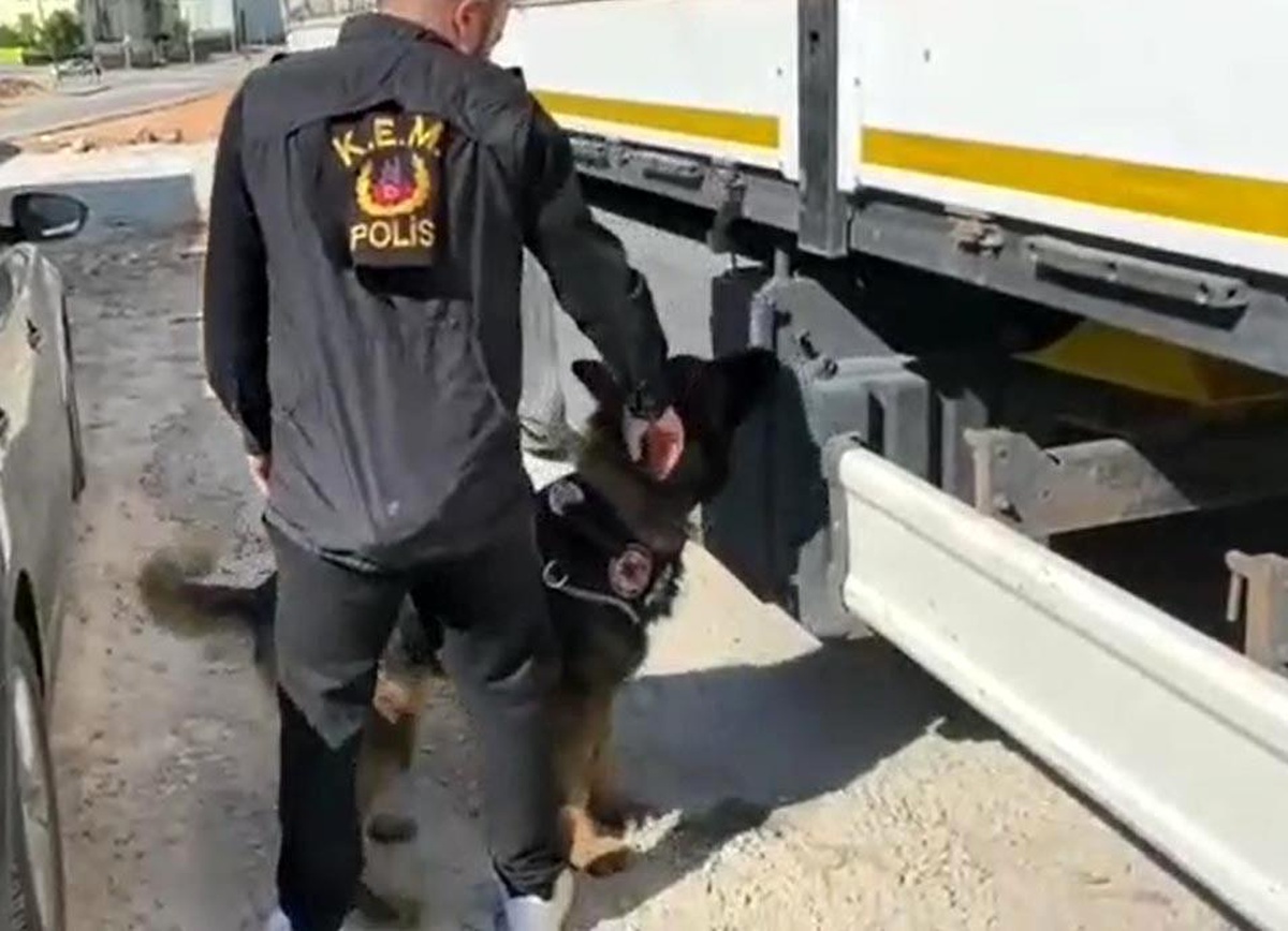 Gübre çuvallarının arasında \'kaçak sigara\' sevkiyatına polis darbesi