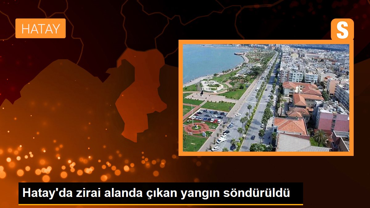 Hatay\'da zirai alanda çıkan yangın söndürüldü