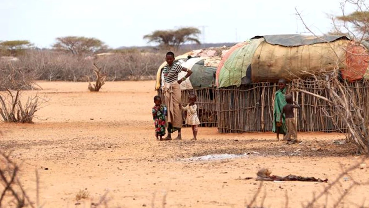 Kenya\'da Kuraklık Etkili Oluyor