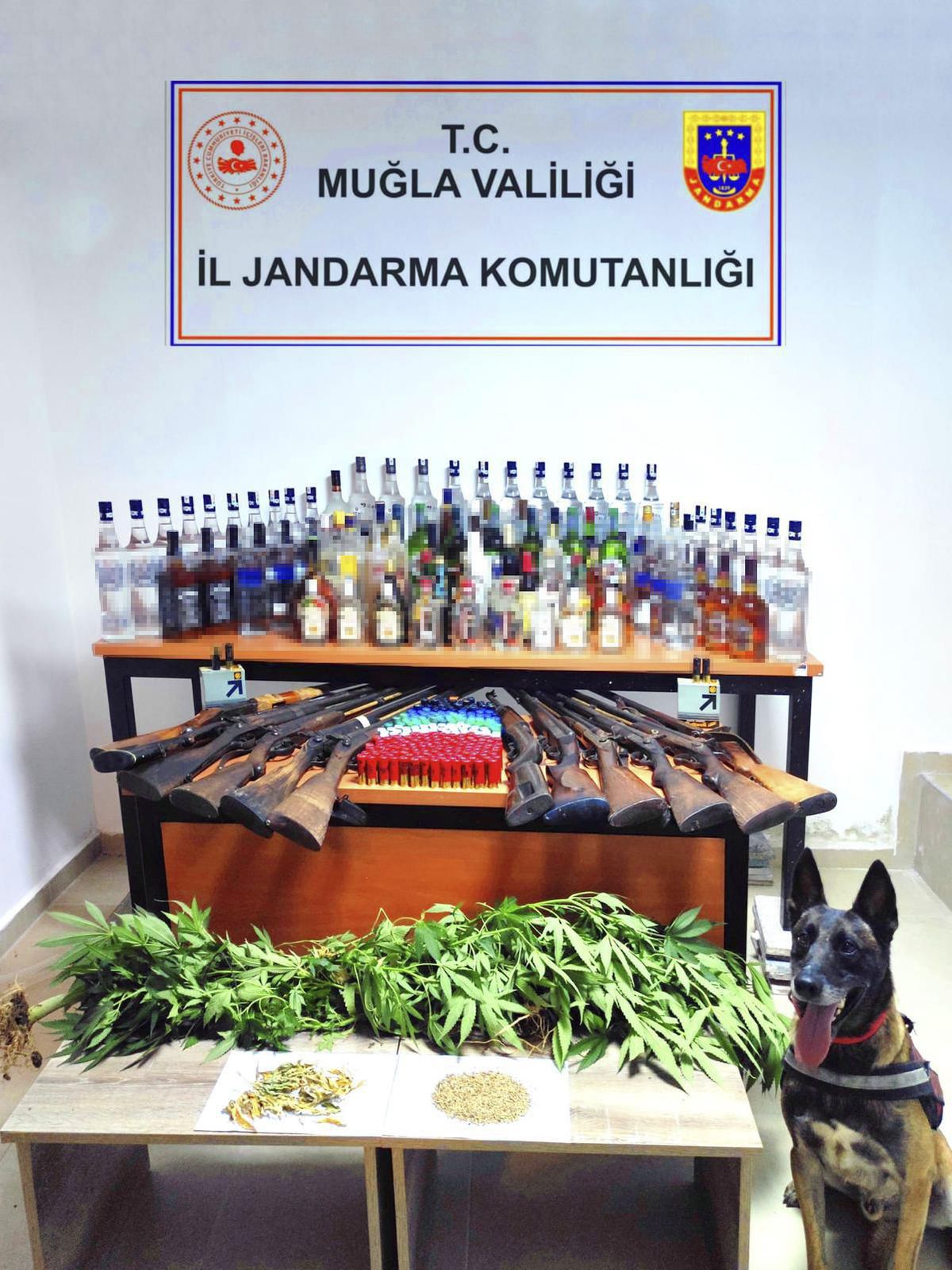 Muğla\'da uyuşturucu operasyonunda bir şüpheli yakalandı