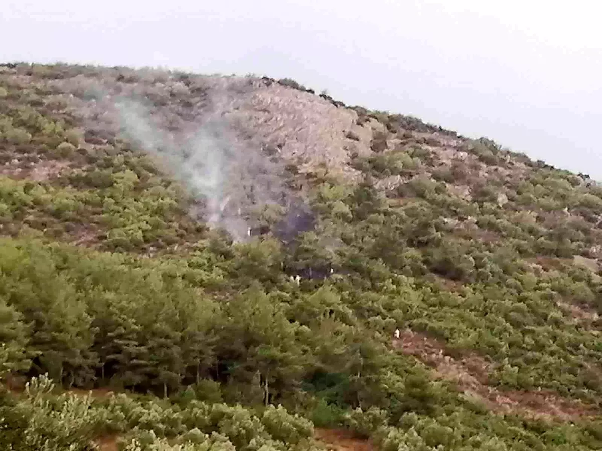 Ormanlık alana düşen yıldırım yangın çıkardı