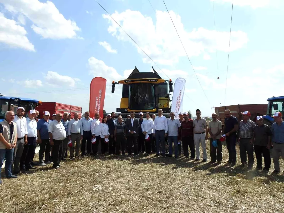 Edirne Valisi Kürşat Kırbıyık, biçerdöverle ayçiçeği hasat etti