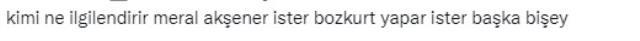 Akşener'in verdiği 'bozkurt' pozu sosyal medyayı ikiye böldü
