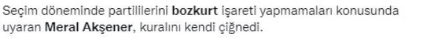 Akşener'in verdiği 'bozkurt' pozu sosyal medyayı ikiye böldü