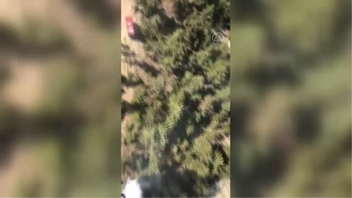 Adana'da çıkan orman yangını kontrol altına alındı