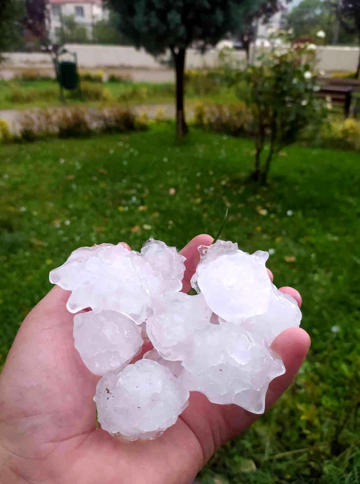 Ceviz büyüklüğünde yağan dolu hayatı olumsuz etkiledi