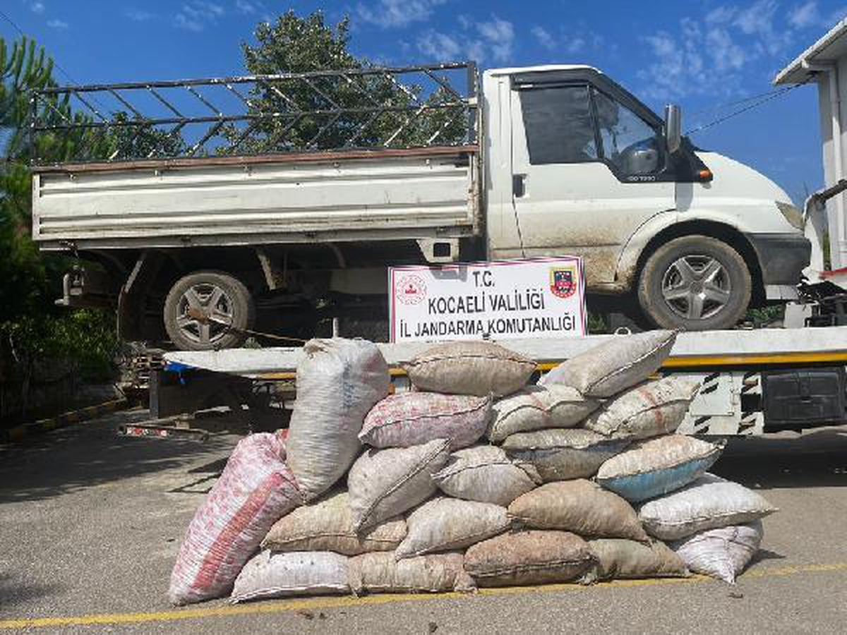 Fındık bahçesinde 3 çocuk, kamyonete yükleme yaparken yakalandı