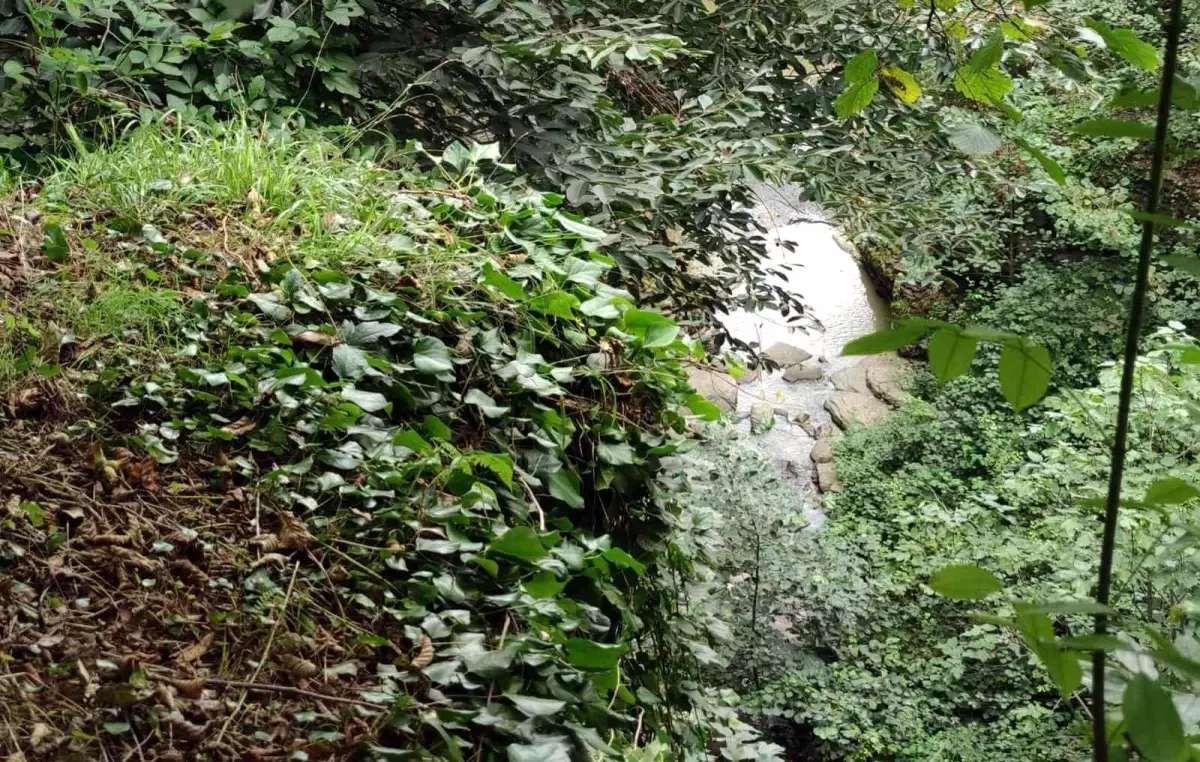 Fındık bahçesinden dereye yuvarlanan 4 yaşındaki çocuk hayatını kaybetti