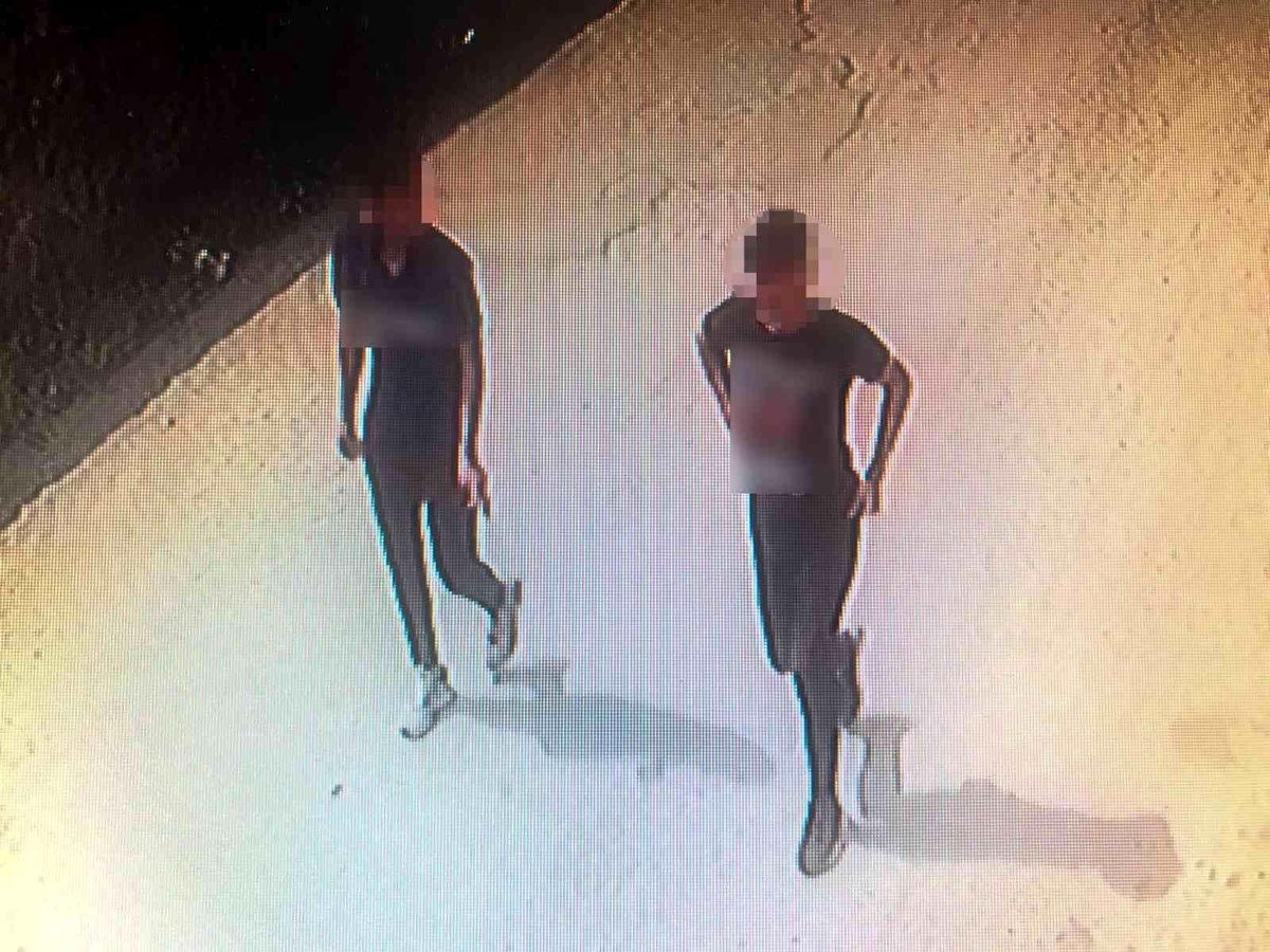 Fındık fareleri 53 saatlik kamera incelemesi sonrasında yakayı ele verdi