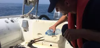 Hatay'da denizde bulunan yaralı leylek tedaviye alındı