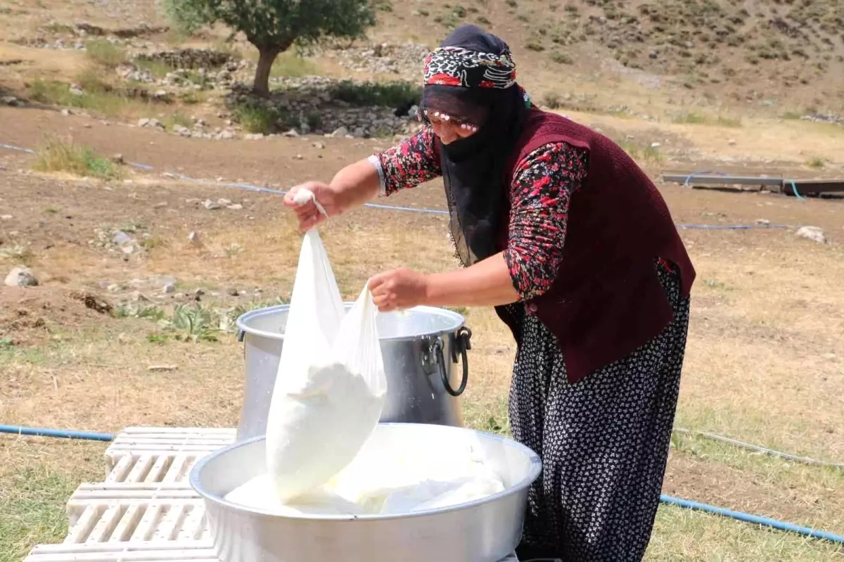 Kahvaltı sofralarına 3 bin rakımdan gelen lezzet: Erzincan tulum peyniri