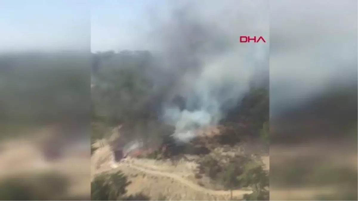 Kaş'ta orman yangını