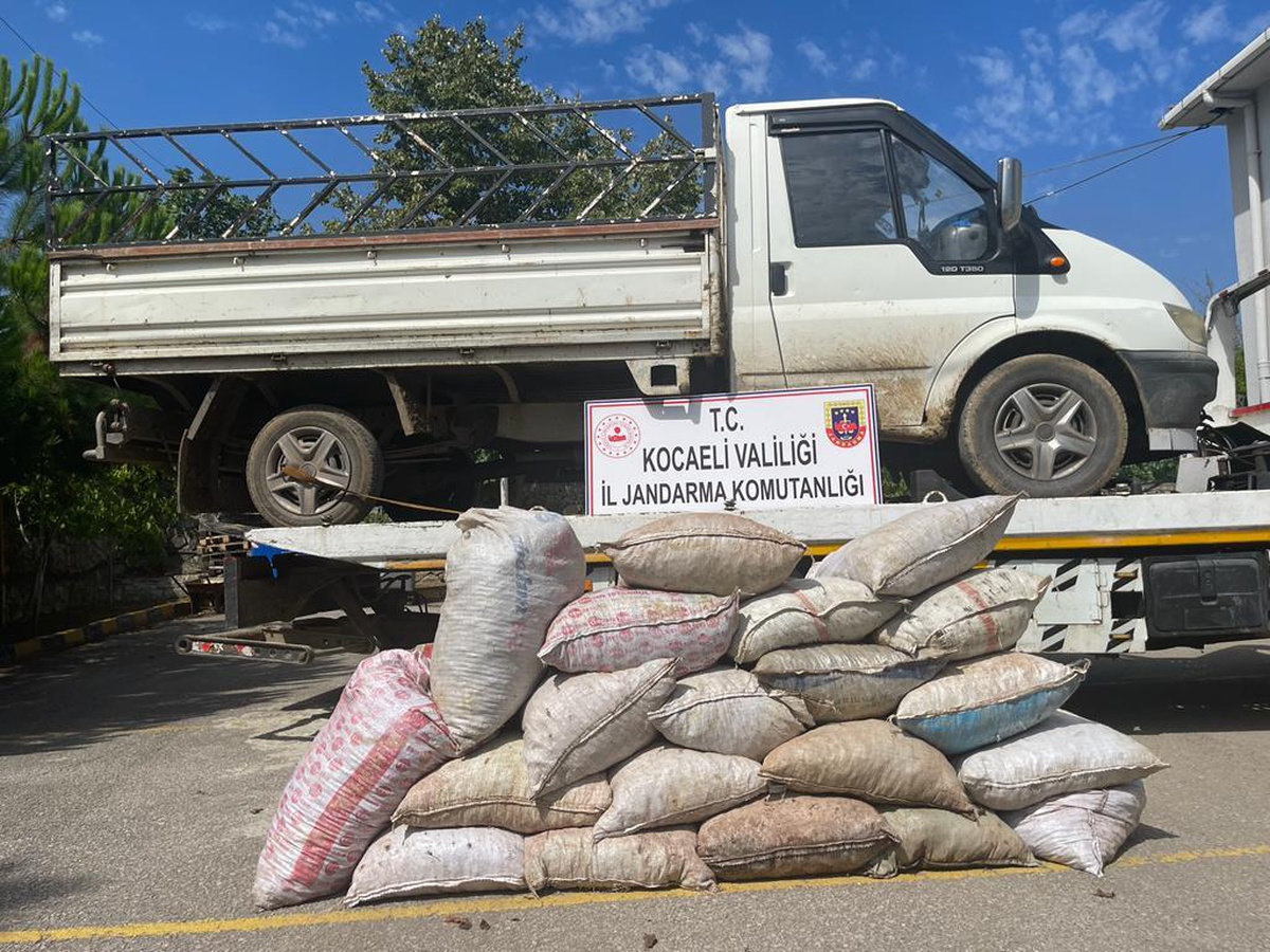 Kocaeli\'de 3 hırsız 1 ton fındığı araca yüklerken suçüstü yakalandı