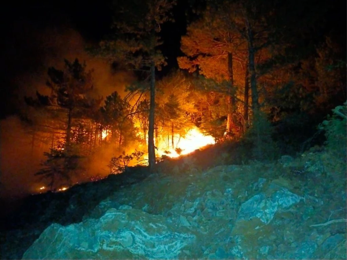 Konya\'da ormanlık alanda çıkan yangın söndürüldü