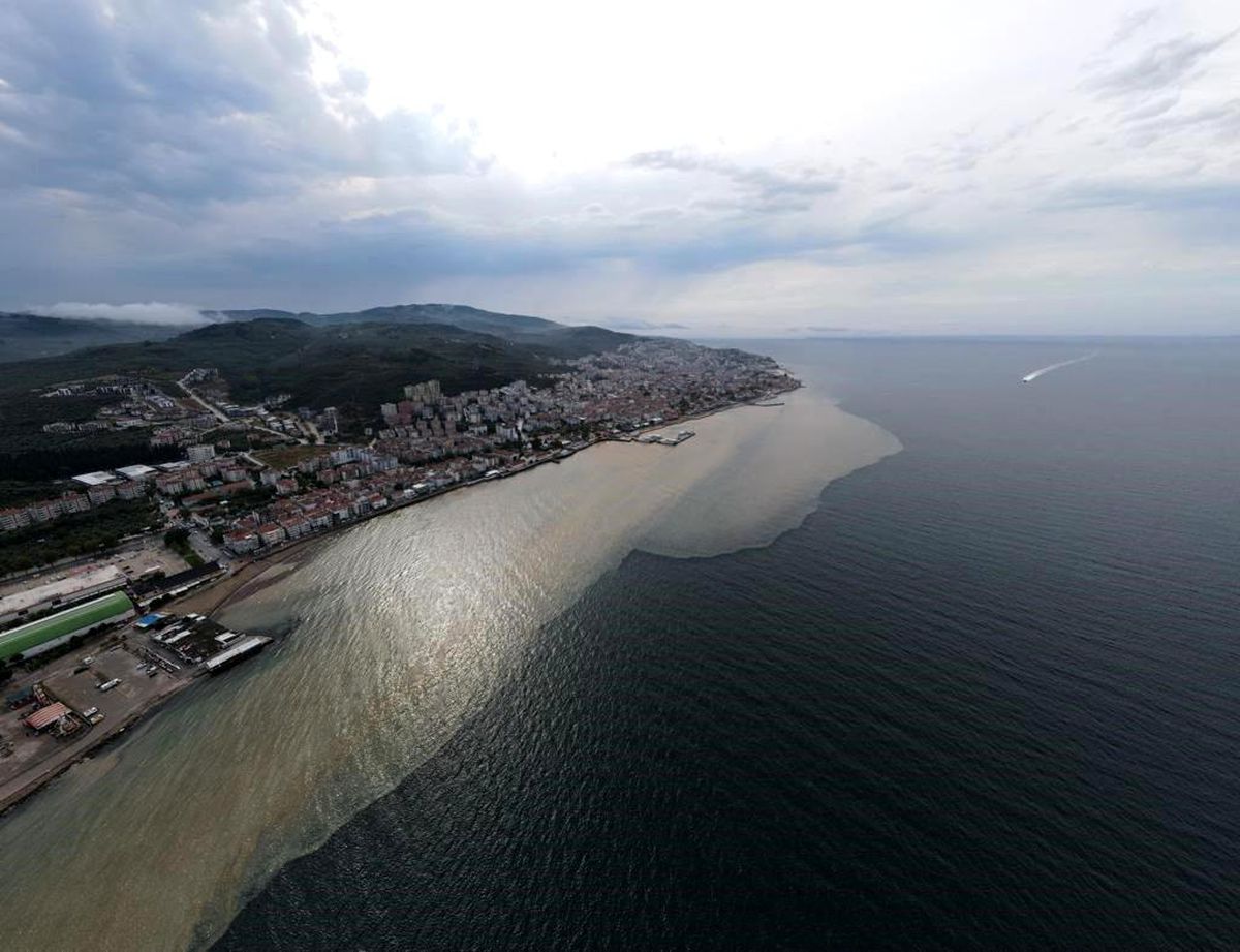Mudanya Sahili çamura boyandı