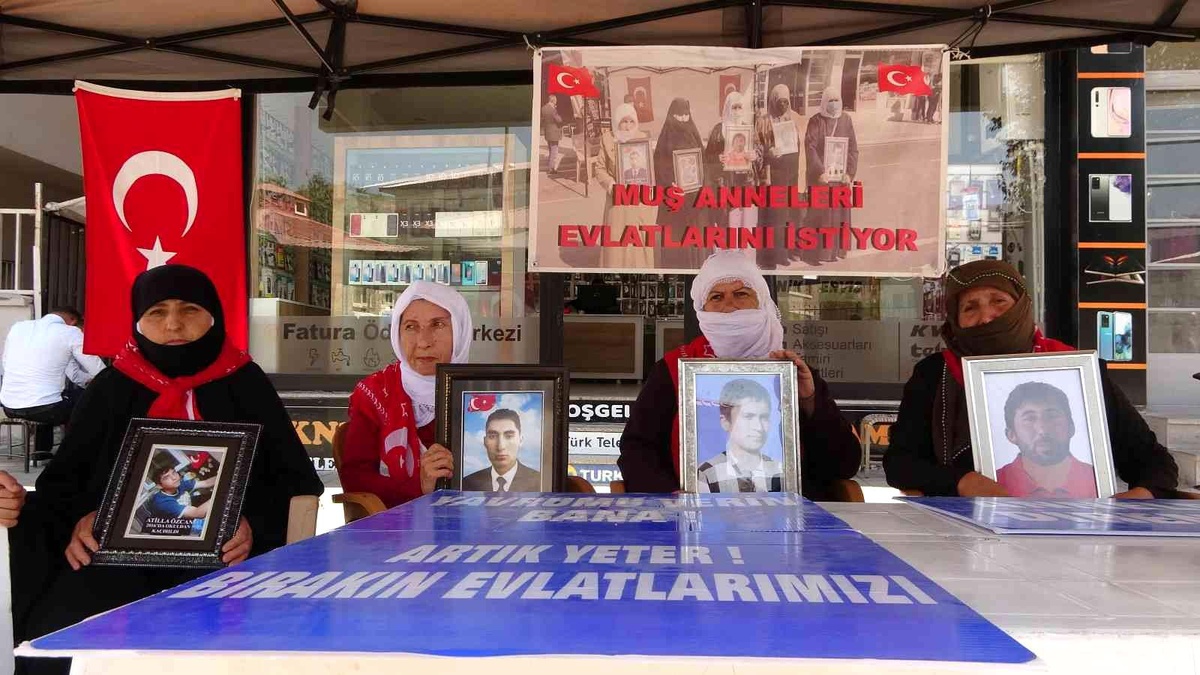Muş\'ta annelerin evlat nöbeti 71. haftaya girdi