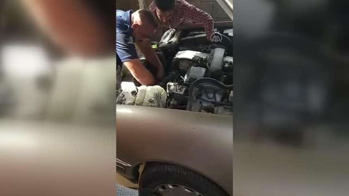 Hatay\'da otomobilin motor kısmına sıkışan kedi yavrusunu itfaiye kurtardı